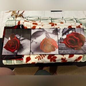 Rose pictures